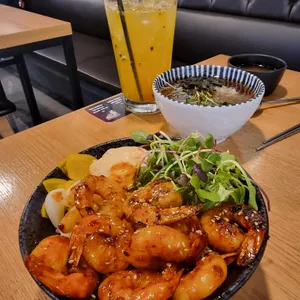 홍대개미 사진