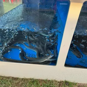 광연수산 리뷰 사진