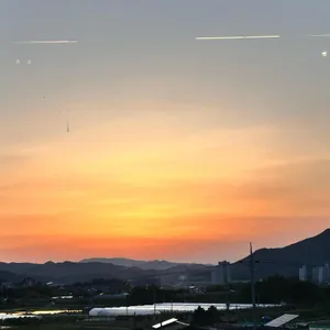 허니포레스트 리뷰 사진