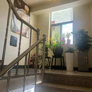 타이선 리뷰 사진