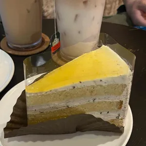 브라운핸즈 백제 사진