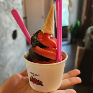 까멜리아 사진