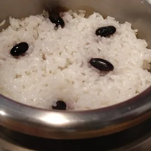 콩애가 사진