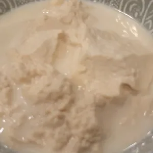 콩애가 사진