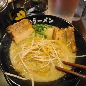 코이라멘 사진
