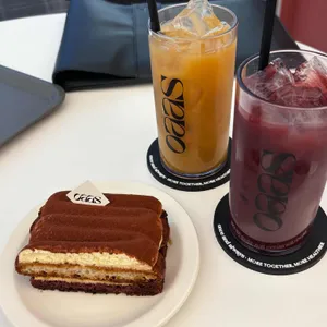 오아스 리뷰 사진