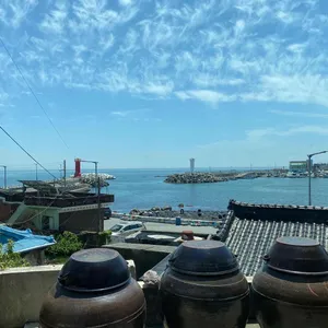 동백횟집 리뷰 사진