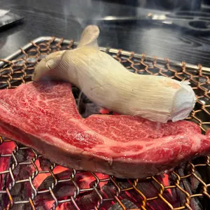 인생한우 사진