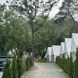 백동소풍가는길 리뷰 사진