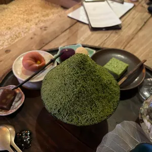 티노마드 사진