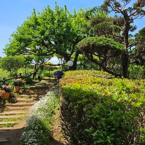 카페2865 리뷰 사진