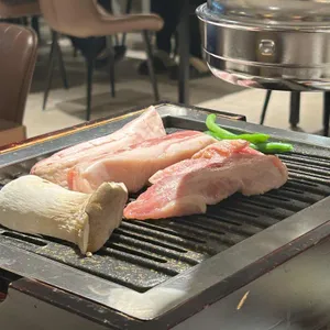육지향 사진