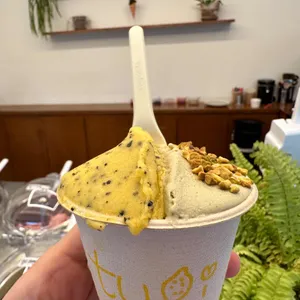 뚜오이 사진