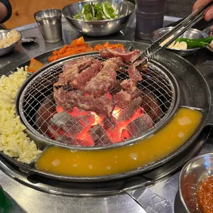 부산갈매기 사진