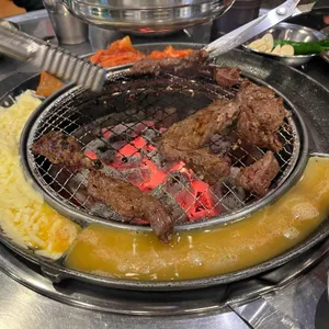 부산갈매기 사진