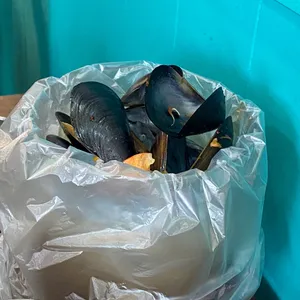 뽕신 사진