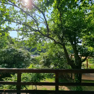 아도 리뷰 사진