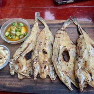 별빛맥주 사진