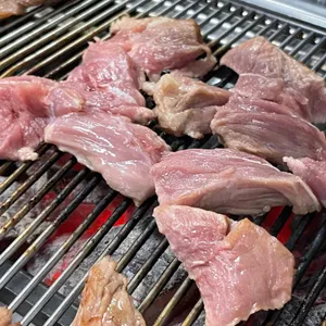 원시다자 사진