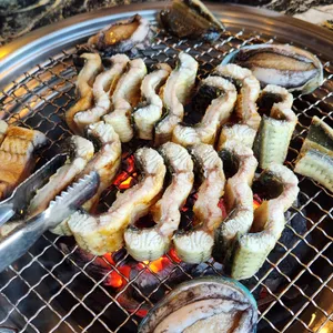 장어의전설 사진