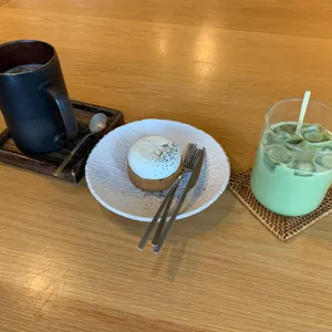 델픽 사진