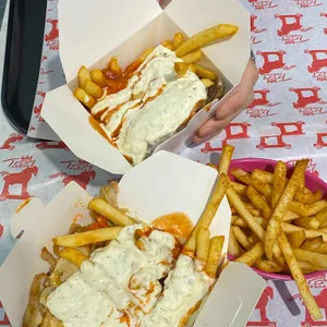 앙카라 피크닉 사진