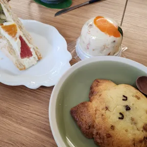 윤숲 사진