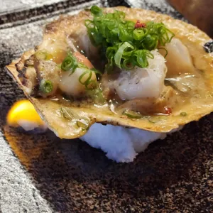 도라곤 사진