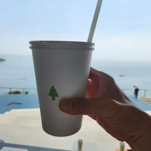 헤이든 사진