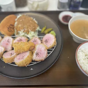 카츠하이드 사진