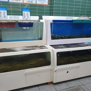 대동원회시장 리뷰 사진