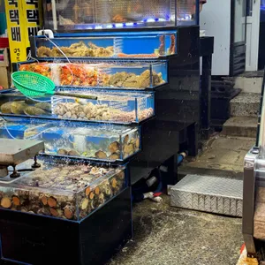 올레수산회센터 대표 사진