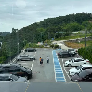 홀리몰리 리뷰 사진