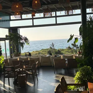 노을리 리뷰 사진