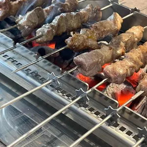 태양부양꼬치 사진