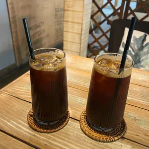 카페나무 사진