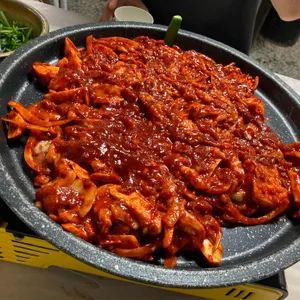 오리궁디 사진
