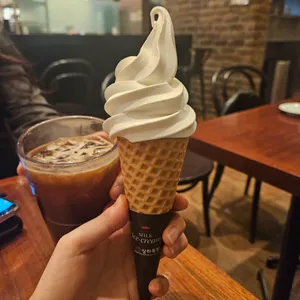 폴바셋 사진