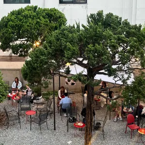 체리커피 리뷰 사진