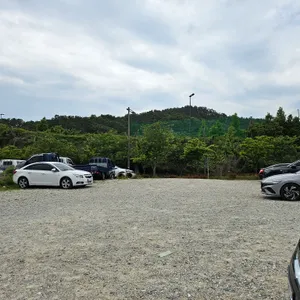 고향연화 리뷰 사진