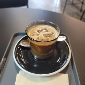 모트모스 사진