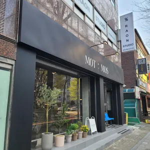 모트모스 리뷰 사진