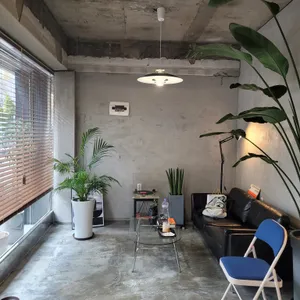 모트모스 리뷰 사진