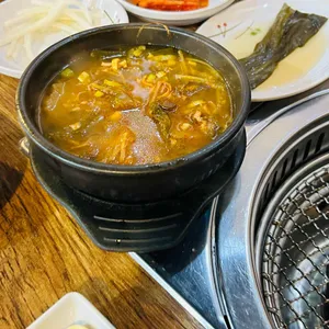소나무 사진