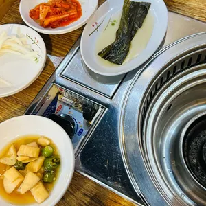 소나무 사진