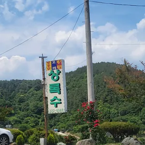 상록수 리뷰 사진