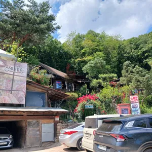 다송 리뷰 사진