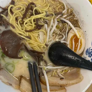 코하루 사진