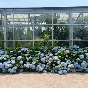 웨스트그라운드 리뷰 사진