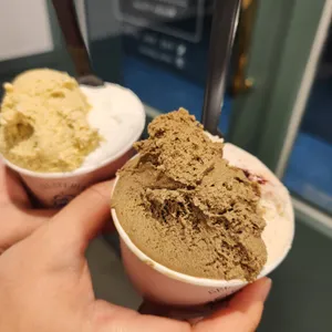 젤라떼리아 카리타 사진
